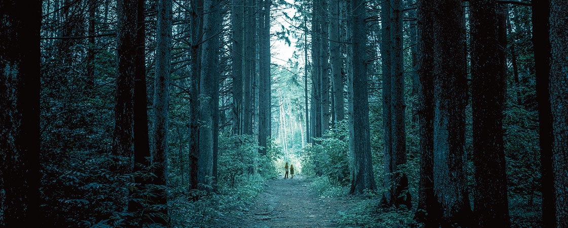 two girls walking along a trail in the woods