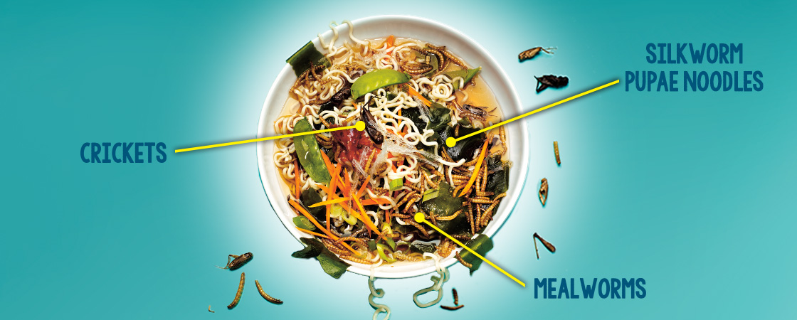 Image of a bowl of "food" filled with crickets, silkworm pupae noodles, and mealworms