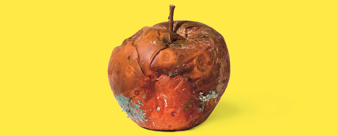 Image of a decomposing apple